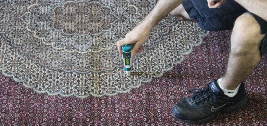 Medidor de pH aplicado sobre un tapete persa durante la inspecci&oacute;n